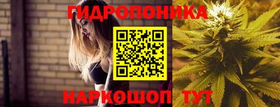 метадон Лесосибирск