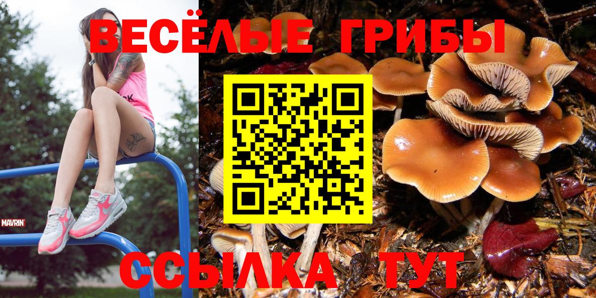 Псилоцибиновые грибы Cubensis Аксай