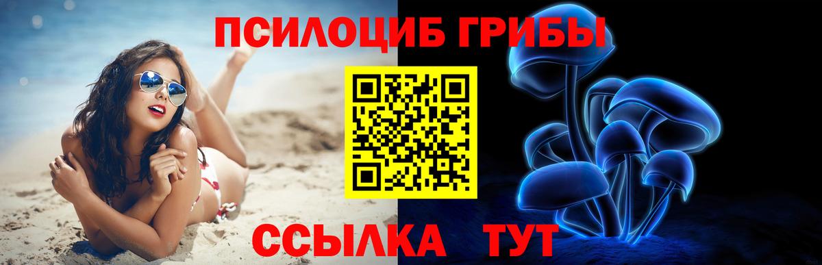 Аксай  Псилоцибиновые грибы Cubensis  Вход с VPN 